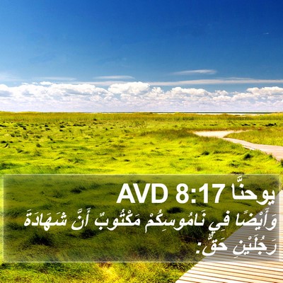 يوحنَّا 8:17 AVD Bible Verse Image
