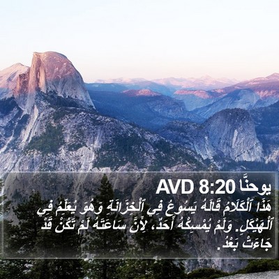 يوحنَّا 8:20 AVD Bible Verse Image