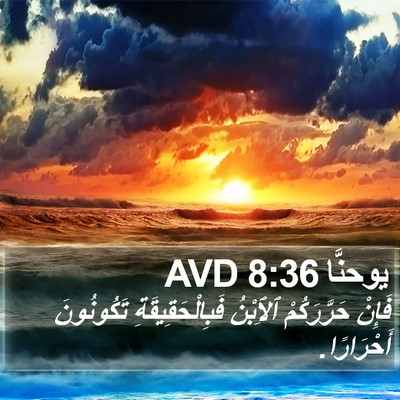 يوحنَّا 8:36 AVD Bible Verse Image