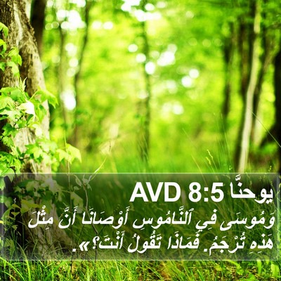 يوحنَّا 8:5 AVD Bible Verse Image