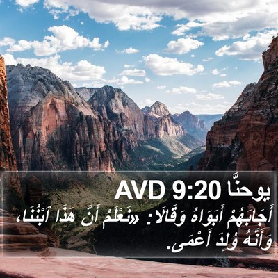 يوحنَّا 9:20 AVD Bible Verse Image