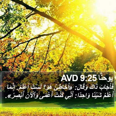 يوحنَّا 9:25 AVD Bible Verse Image