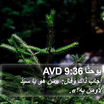 يوحنَّا 9:36 AVD Bible Verse Image