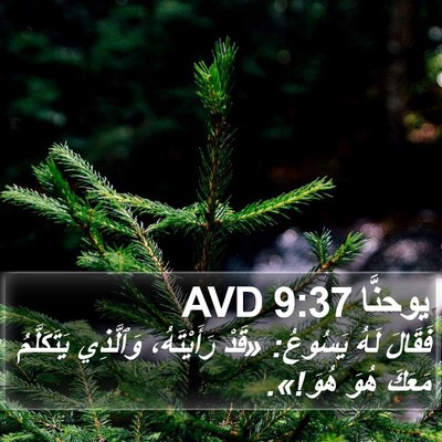 يوحنَّا 9:37 AVD Bible Verse Image