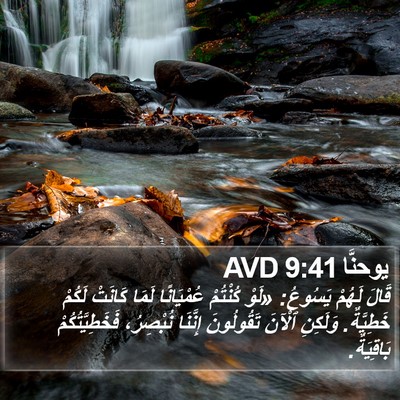 يوحنَّا 9:41 AVD Bible Verse Image