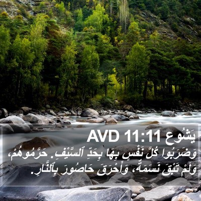 يَشُوع 11:11 AVD Bible Verse Image