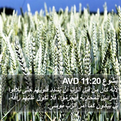 يَشُوع 11:20 AVD Bible Verse Image