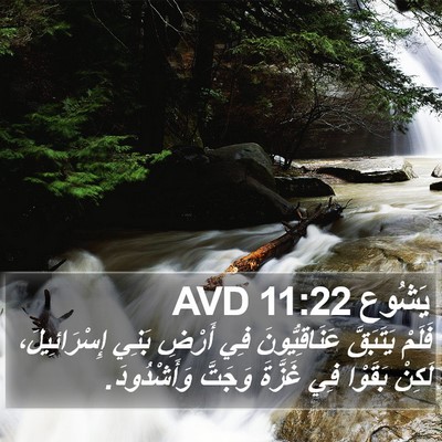 يَشُوع 11:22 AVD Bible Verse Image