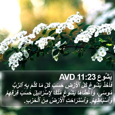 يَشُوع 11:23 AVD Bible Verse Image
