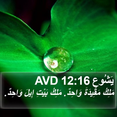 يَشُوع 12:16 AVD Bible Verse Image