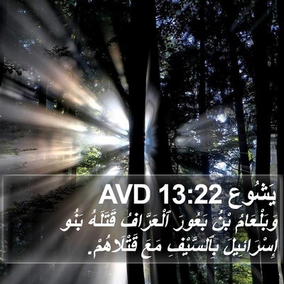 يَشُوع 13:22 AVD Bible Verse Image