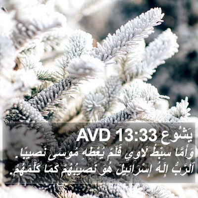 يَشُوع 13:33 AVD Bible Verse Image