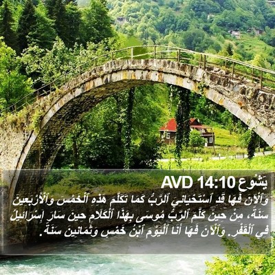 يَشُوع 14:10 AVD Bible Verse Image