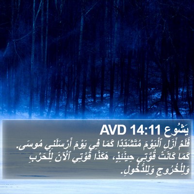 يَشُوع 14:11 AVD Bible Verse Image