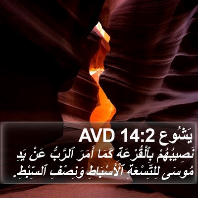 يَشُوع 14:2 AVD Bible Verse Image