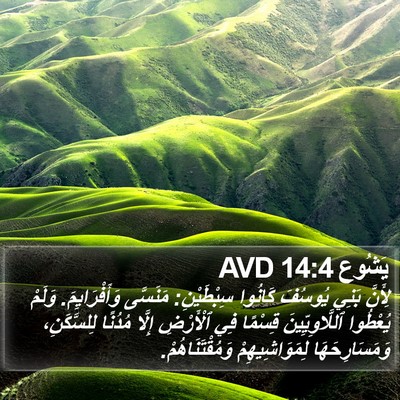 يَشُوع 14:4 AVD Bible Verse Image