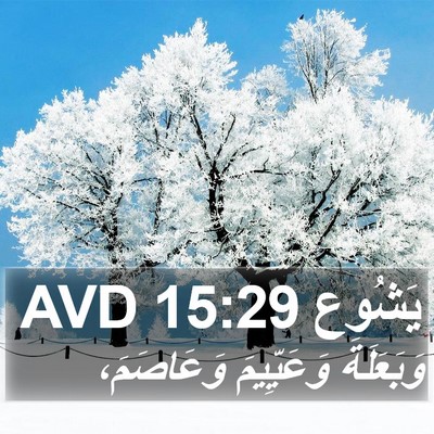 يَشُوع 15:29 AVD Bible Verse Image