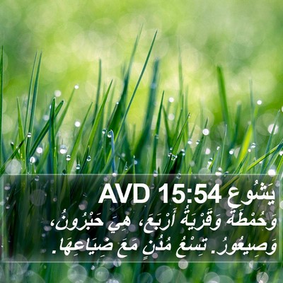 يَشُوع 15:54 AVD Bible Verse Image