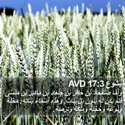 يَشُوع 17:3 AVD Bible Verse Image