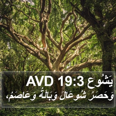 يَشُوع 19:3 AVD Bible Verse Image