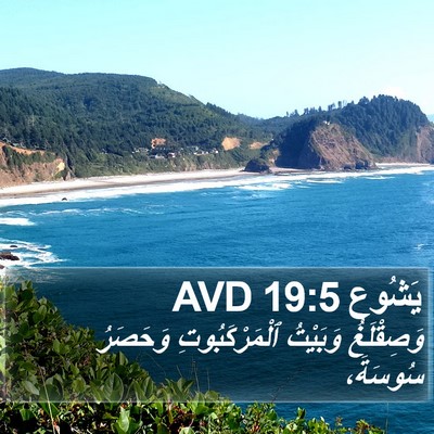 يَشُوع 19:5 AVD Bible Verse Image