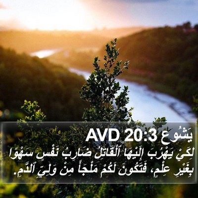 يَشُوع 20:3 AVD Bible Verse Image