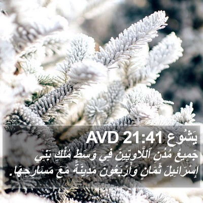 يَشُوع 21:41 AVD Bible Verse Image