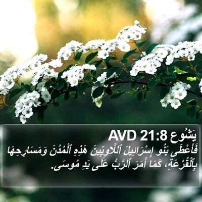 يَشُوع 21:8 AVD Bible Verse Image