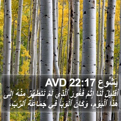 يَشُوع 22:17 AVD Bible Verse Image