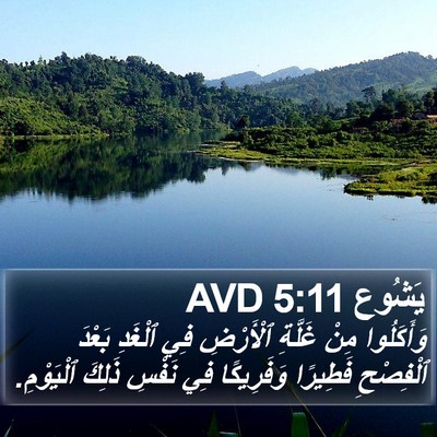 يَشُوع 5:11 AVD Bible Verse Image