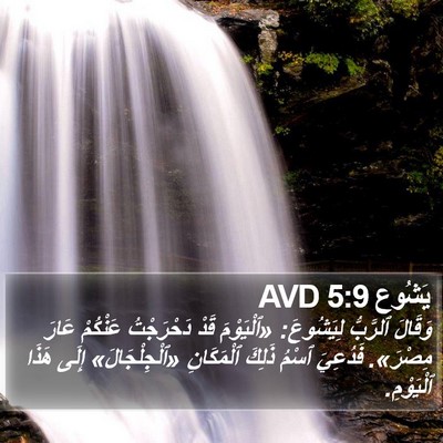 يَشُوع 5:9 AVD Bible Verse Image