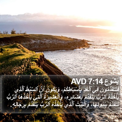 يَشُوع 7:14 AVD Bible Verse Image