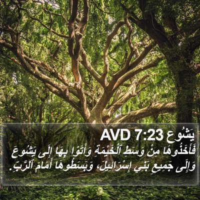 يَشُوع 7:23 AVD Bible Verse Image