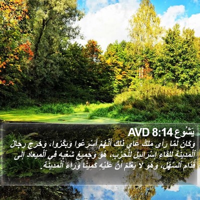 يَشُوع 8:14 AVD Bible Verse Image