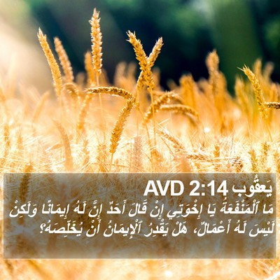 يَعقُوب 2:14 AVD Bible Verse Image