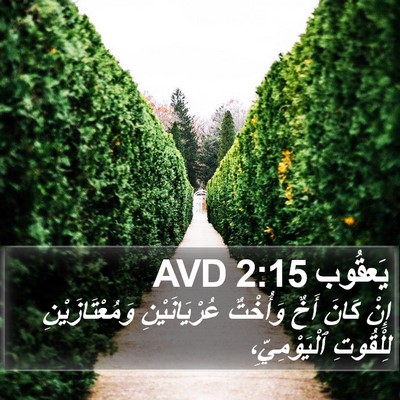 يَعقُوب 2:15 AVD Bible Verse Image