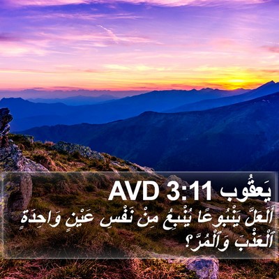 يَعقُوب 3:11 AVD Bible Verse Image