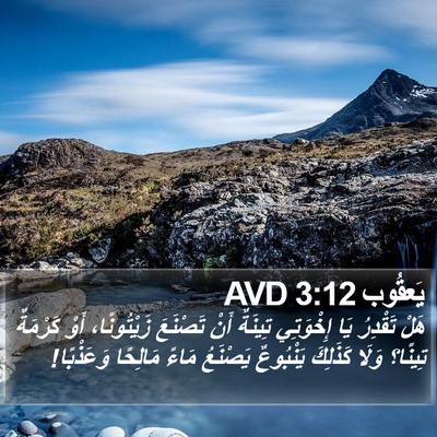 يَعقُوب 3:12 AVD Bible Verse Image