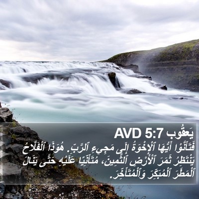 يَعقُوب 5:7 AVD Bible Verse Image