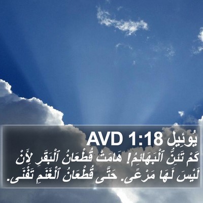 يُوئِيل 1:18 AVD Bible Verse Image