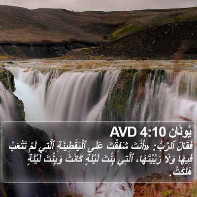 يُونَان 4:10 AVD Bible Verse Image