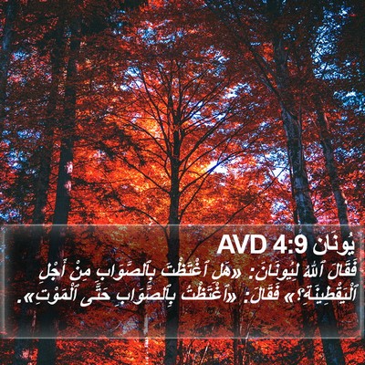 يُونَان 4:9 AVD Bible Verse Image