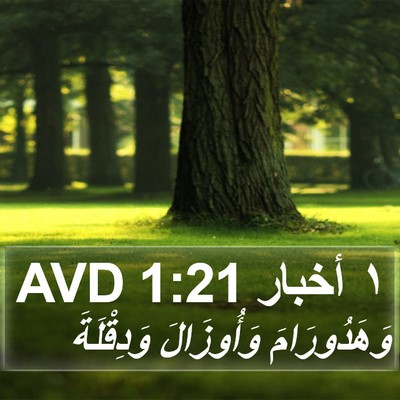 ١ أخبار 1:21 AVD Bible Verse Image