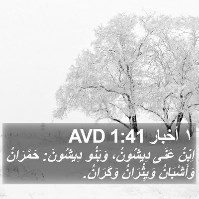 ١ أخبار 1:41 AVD Bible Verse Image