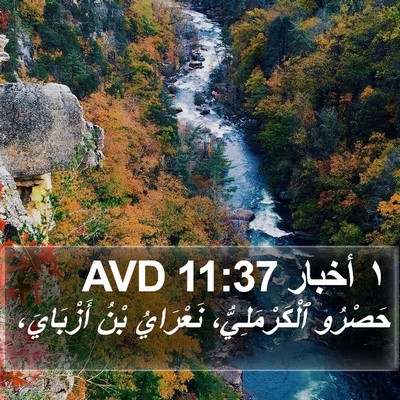 ١ أخبار 11:37 AVD Bible Verse Image