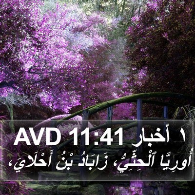 ١ أخبار 11:41 AVD Bible Verse Image