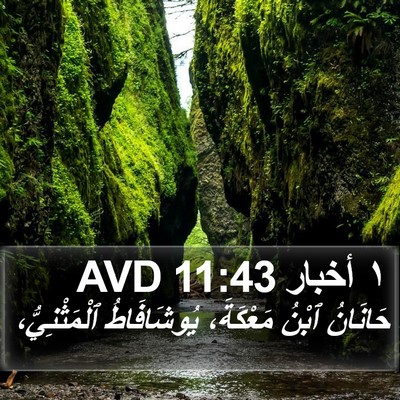 ١ أخبار 11:43 AVD Bible Verse Image
