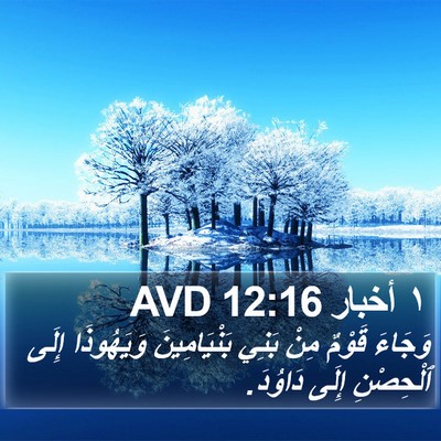 ١ أخبار 12:16 AVD Bible Verse Image