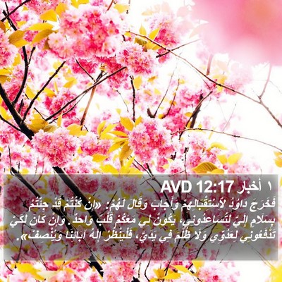 ١ أخبار 12:17 AVD Bible Verse Image