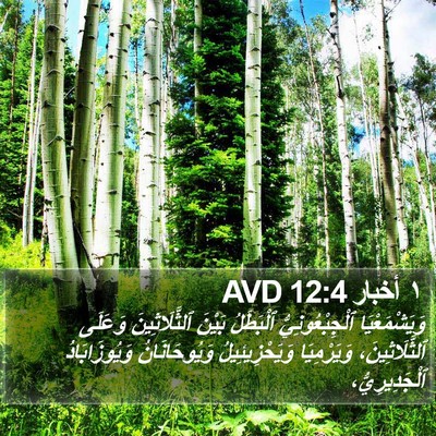 ١ أخبار 12:4 AVD Bible Verse Image